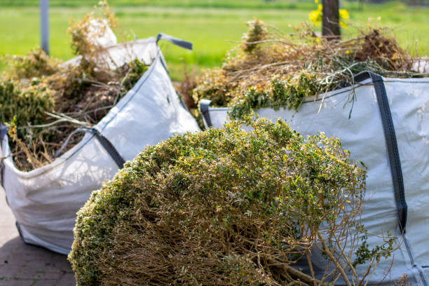 Household Junk Removal in Arbuckle, CA